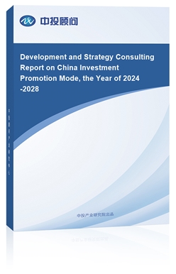 Development and Strategy Consulting Report on China Investment Promotion Mode, the Year of 2024-2028