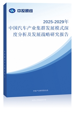 2018-2022年中國(guó)汽車(chē)產(chǎn)業(yè)集群發(fā)展模式深度分析及發(fā)展戰(zhàn)略研究報(bào)告