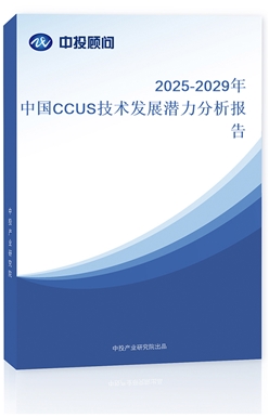 2025-2029ЇCCUSg(sh)l(f)չ?ji)? class='bookImg' /></a></dt>	<dd>		<h4><a target='_blank' href=