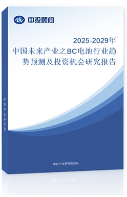 2025-2029Ї(gu)δ(li)a(chn)I(y)֮BC늳ИI(y)څ(sh)A(y)y(c)ͶYC(j)(hu)о(bo)