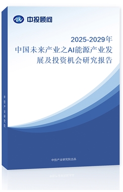 2025-2029Їδa(chn)I(y)֮AIԴa(chn)I(y)l(f)չͶYC(j)о